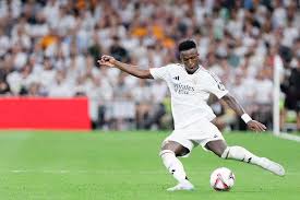 识和素养 识和素养